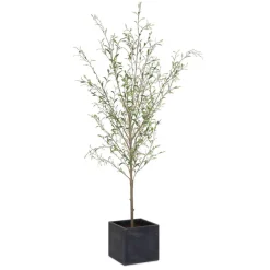 Mor Furniture Plants|Abundance Olive Tree Plant