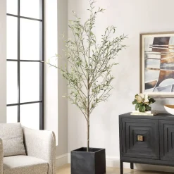Mor Furniture Plants|Abundance Olive Tree Plant