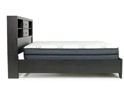 Mor Furniture Beds|Andes Bookcase Bed W/ Storage In , Twin Charcoal