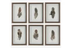 Mor Furniture Wall Art & Accents|Birds Of A Feather Wall Art, Set Of 6