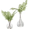 Mor Furniture Plants|Country Ferns, Set Of 2