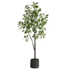 Mor Furniture Plants|Eden Fig Tree Plant