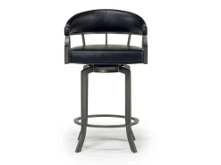Mor Furniture Counter Height Stools|Barstools|Edy Counter Height Stool In Mineral & Black, Swivel