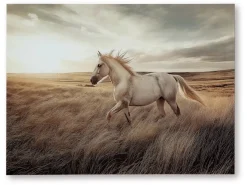 Mor Furniture Wall Art & Accents|Errolville Horse On Glass Wall Art