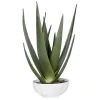 Mor Furniture Plants|Evarado Aloe Planter