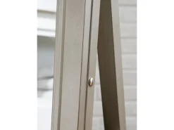 Mor Furniture Accent Mirrors|Evesen Accent Mirror In Black