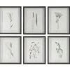 Mor Furniture Wall Art & Accents|Forest Finds Wall Art, Set Of 6