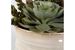Mor Furniture Plants|Mesa Succulent