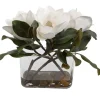 Mor Furniture Plants|Middleton Magnolia Plant