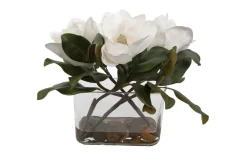 Mor Furniture Plants|Middleton Magnolia Plant