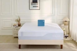 Mor Furniture Mattress Protectors|Mlily 5-Sided Rayon Bamboo Mattress Protector, Twin