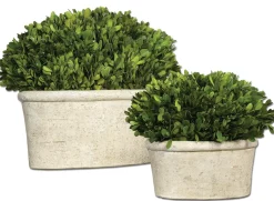 Mor Furniture Sculptures|Oval Domes Preserved Boxwood, Set Of 2