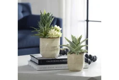 Mor Furniture Plants|Seaside Succulents, Set Of 2