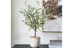Mor Furniture Plants|Solea Olive Tree