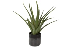 Mor Furniture Plants|Tucson Plant