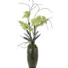 Mor Furniture Plants|Valdive Orchid