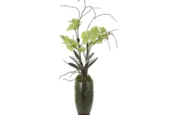 Mor Furniture Plants|Valdive Orchid
