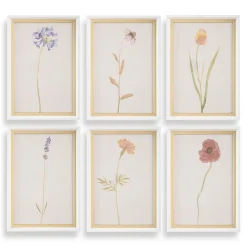 Mor Furniture Wall Art & Accents|Wild Flourish Wall Art, Set Of 6
